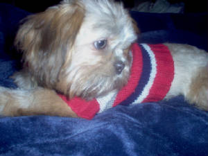 Look at his eye color!